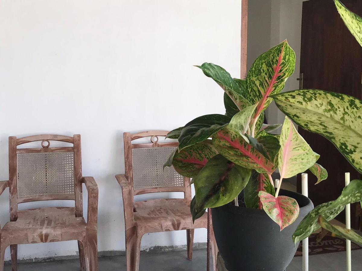 Anna Tourist Inn Негомбо Екстериор снимка